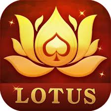 mpl rummy india download